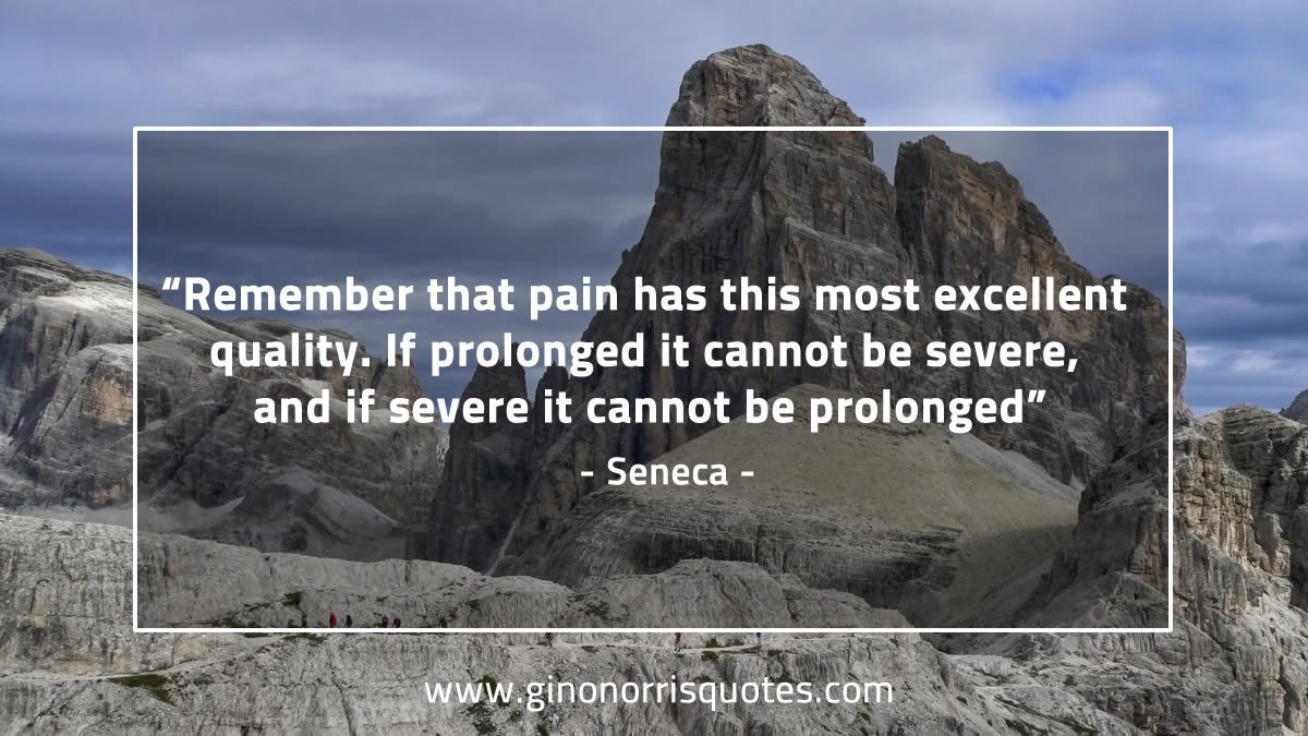 Remember that pain SenecaQuotes