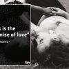 Sex is the promise of love GinoNorrisQuotes