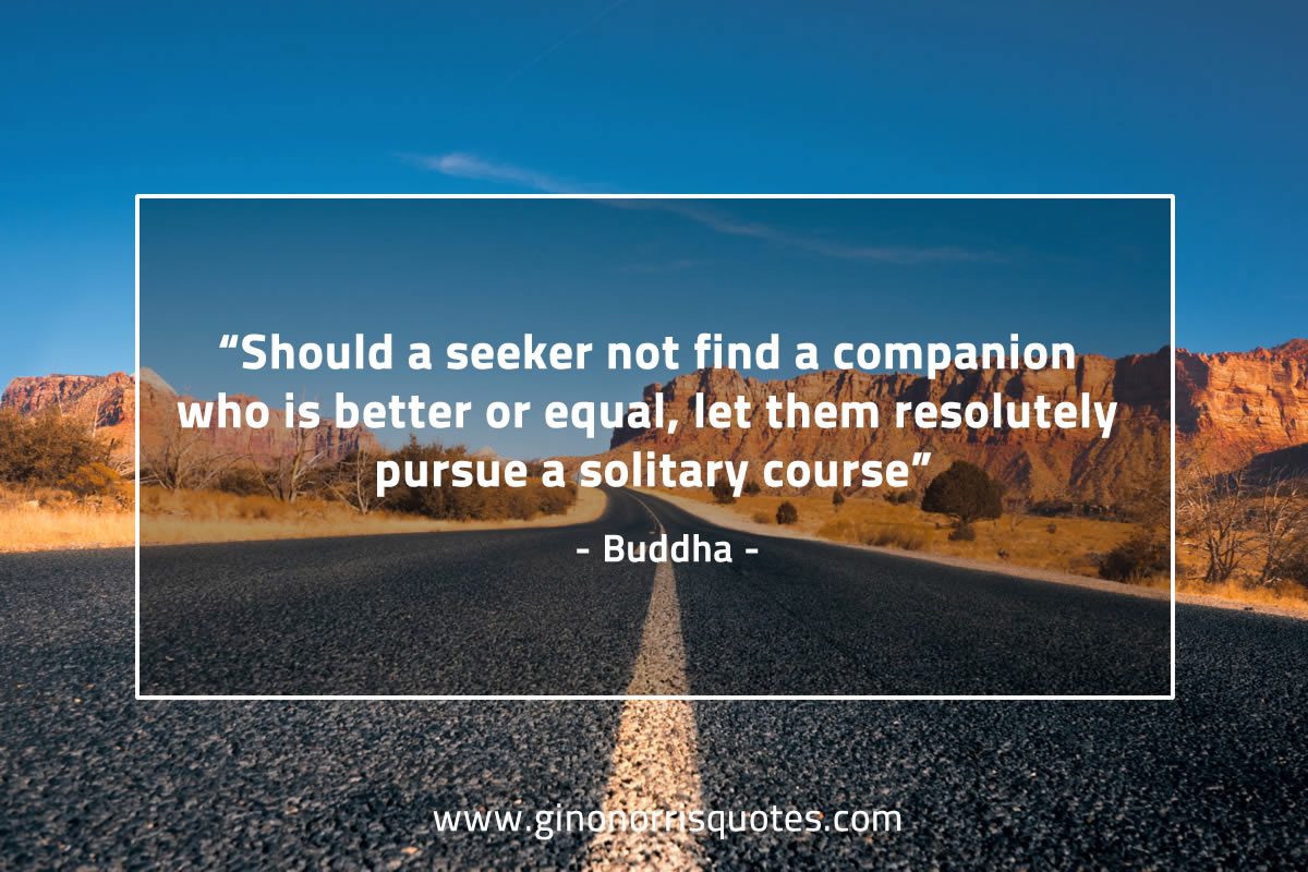 Should a seeker BuddhaQuotes