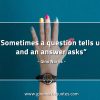 Sometimes a question tells us GinoNorrisQuotes