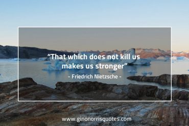 That which does not kill us NietzscheQuotes