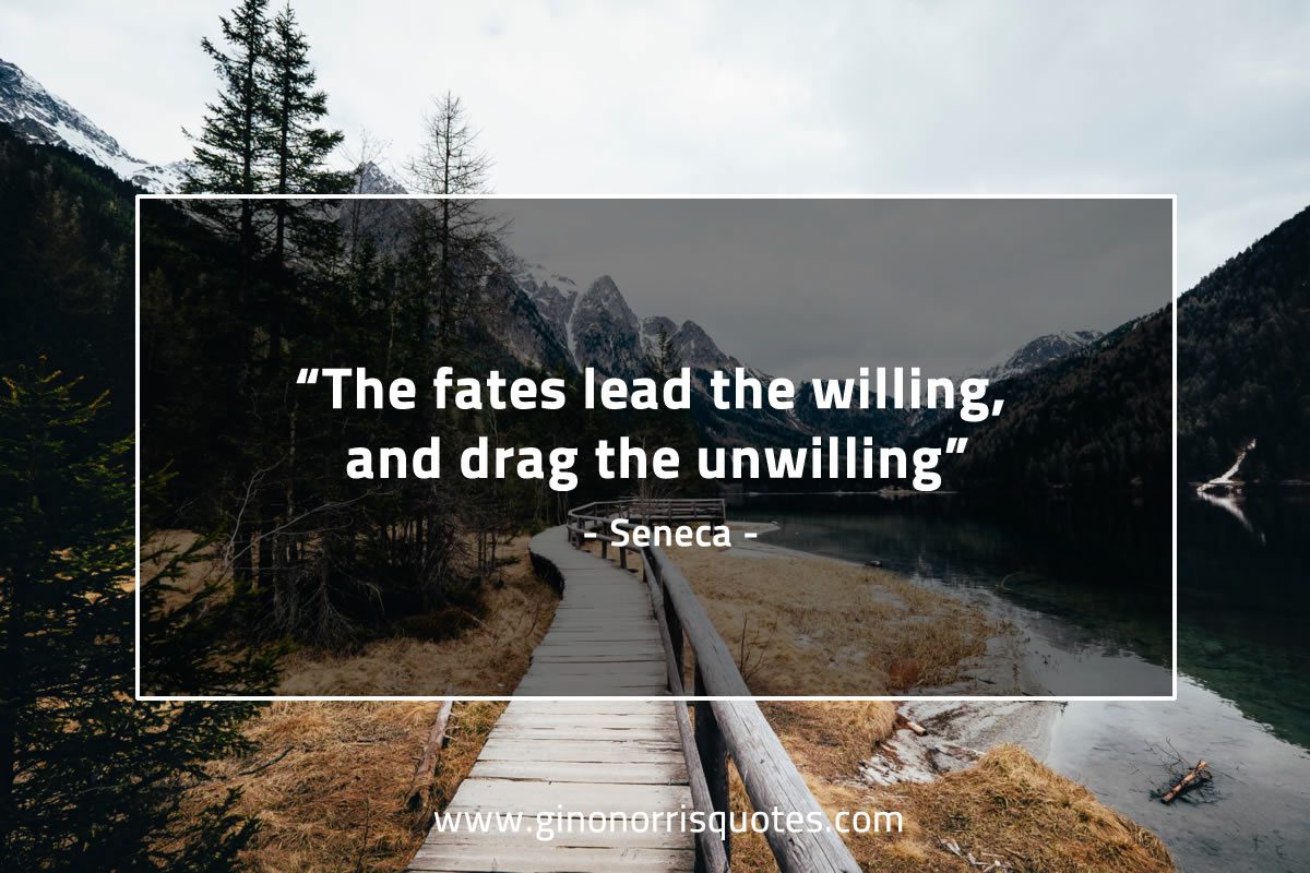 The fates lead the willing and drag the unwilling SenecaQuotes