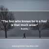 The fool who knows BuddhaQuotes