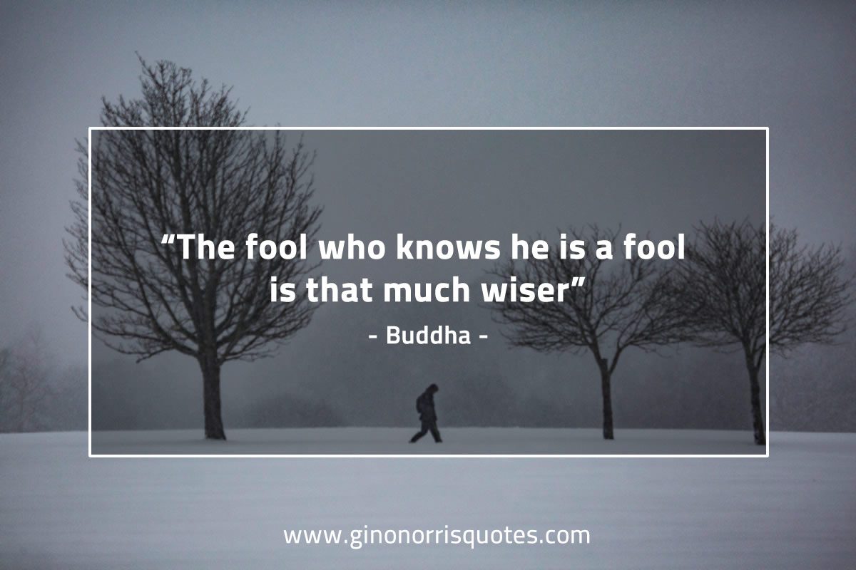 The fool who knows BuddhaQuotes
