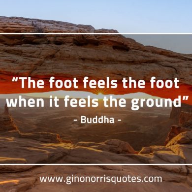 The foot feels the foot BuddhaQuotes