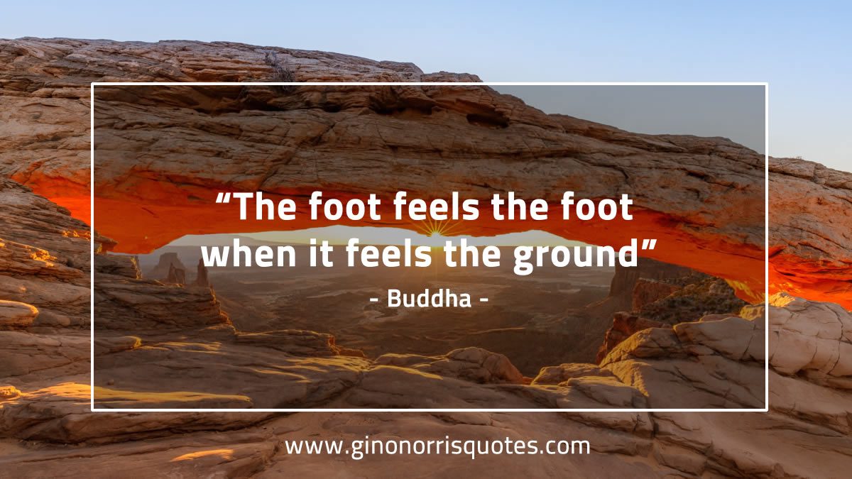The foot feels the foot BuddhaQuotes