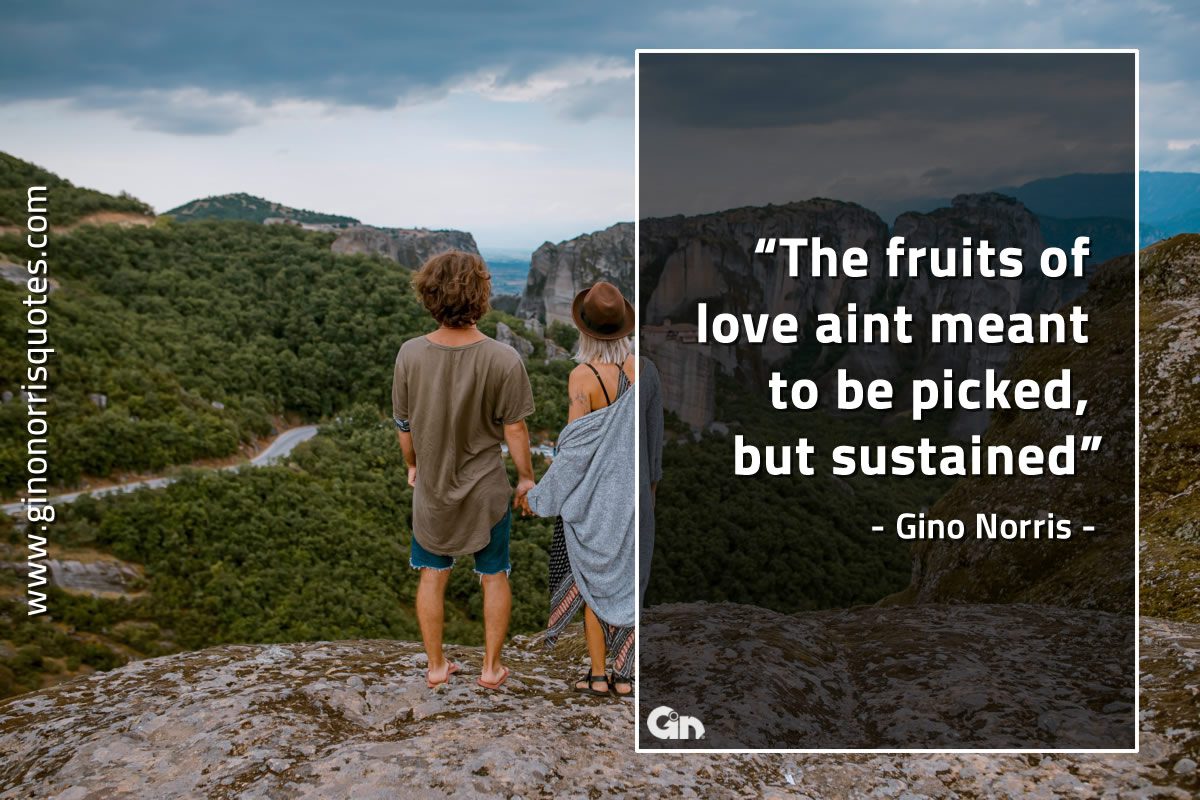 The fruits of love GinoNorrisQuotes