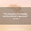 The only good is knowledge SocratesQuotes