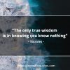 The only true wisdom is in knowing you know nothing SocratesQuotes