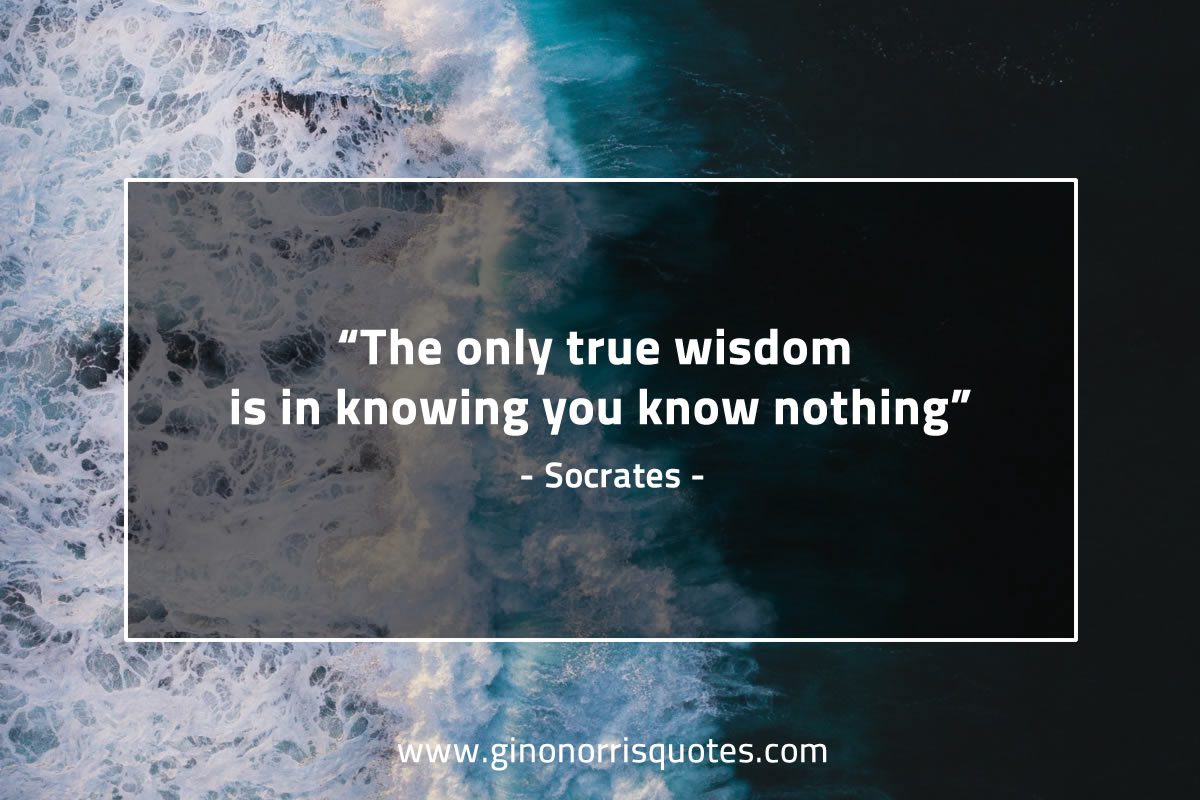 The only true wisdom is in knowing you know nothing SocratesQuotes
