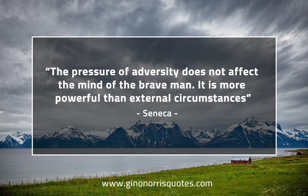 The pressure of adversity SenecaQuotes