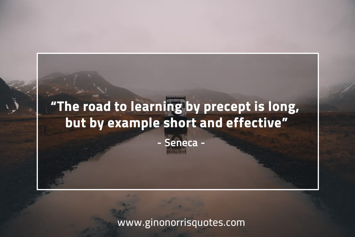 The road to learning by precept is long SenecaQuotes