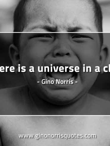 There is a  universe in a child GinoNorrisQuotes