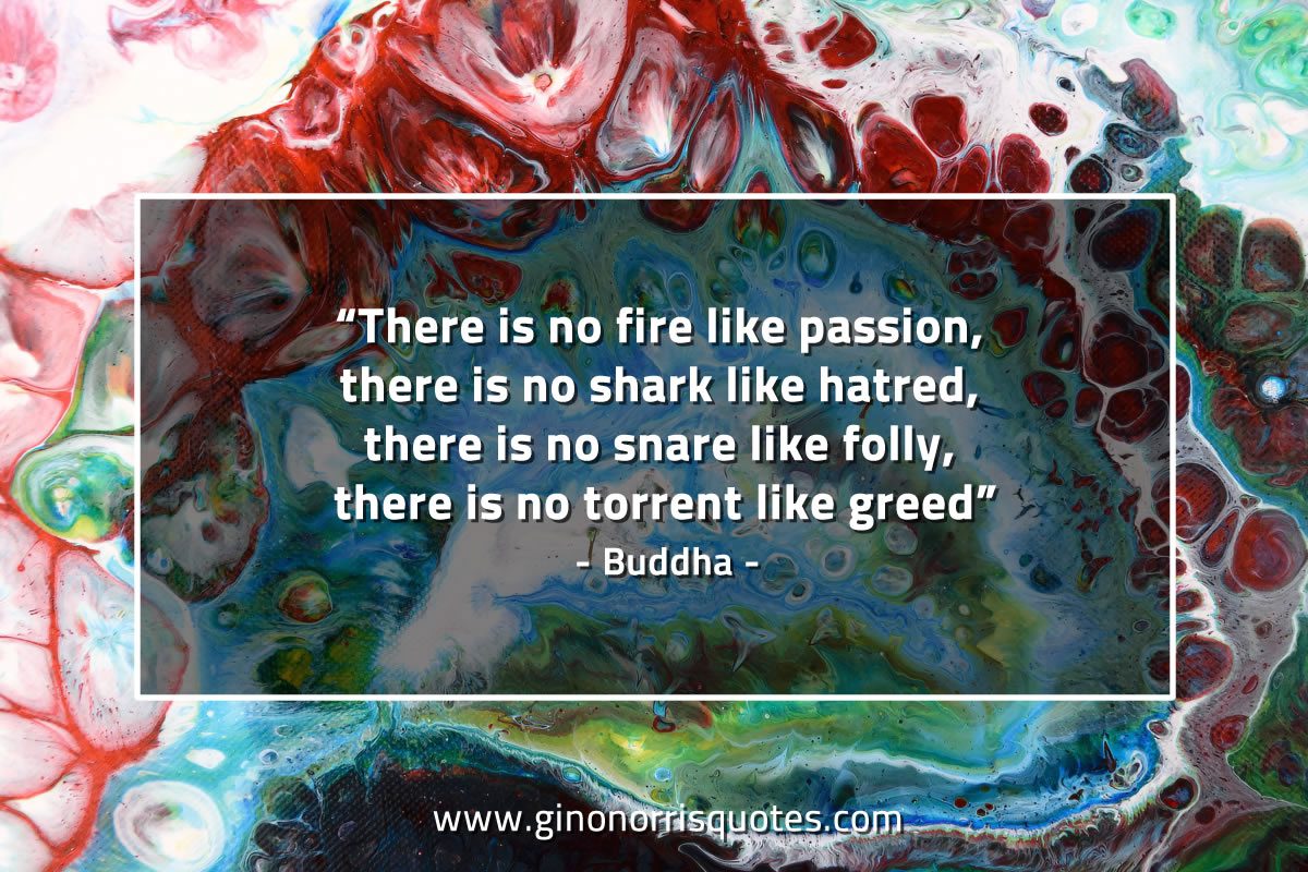 There is no fire like passion BuddhaQuotes