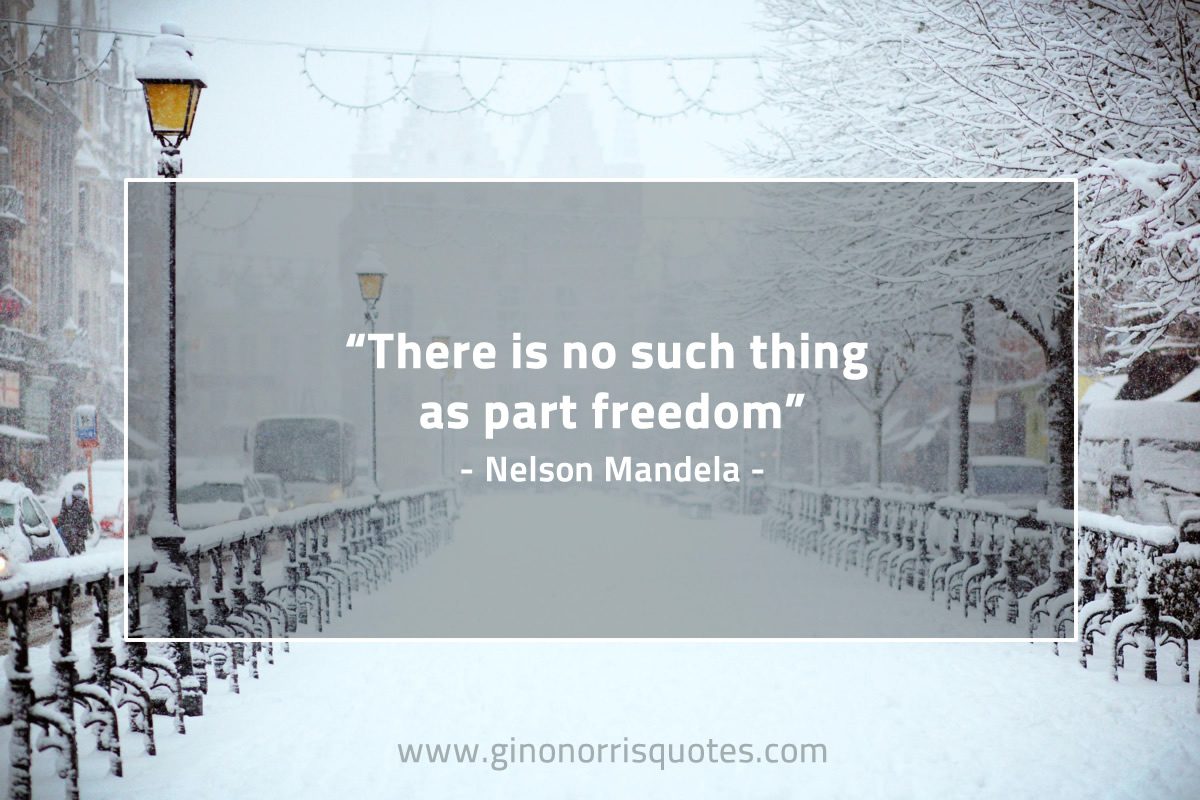 There is no such thing as part freedom MandelaQuotes