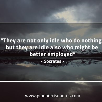 They are not only idle who do nothing SocratesQuotes