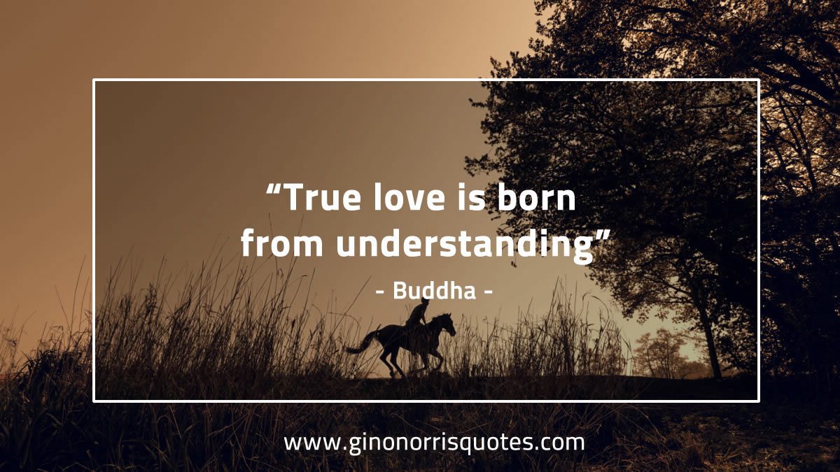 True love is born BuddhaQuotes