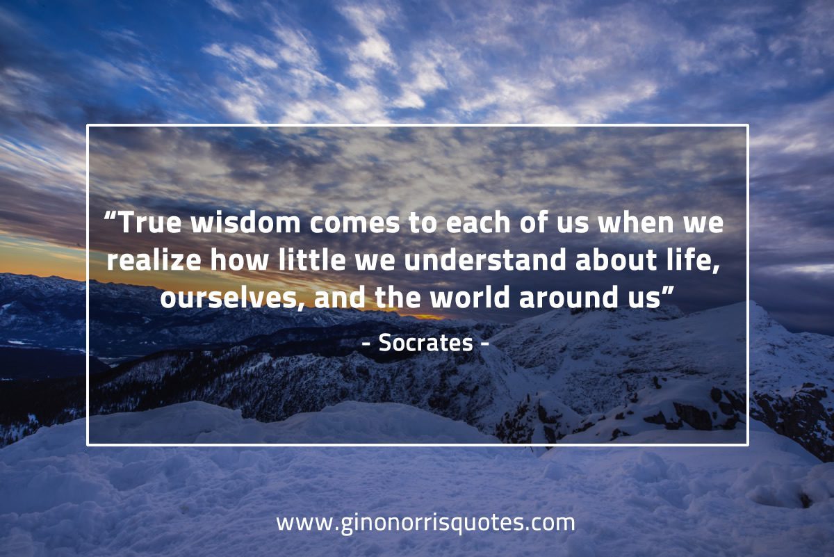 True wisdom comes to each of us SocratesQuotes