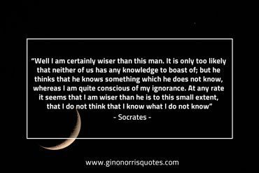 Well I am certainly wiser than this man SocratesQuotes