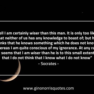 Well I am certainly wiser than this man SocratesQuotes