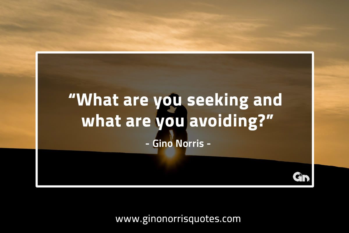 What are you seeking GinoNorrisQuotes