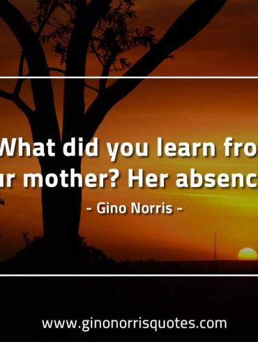 What did  you learn from your mother GinoNorrisQuotes