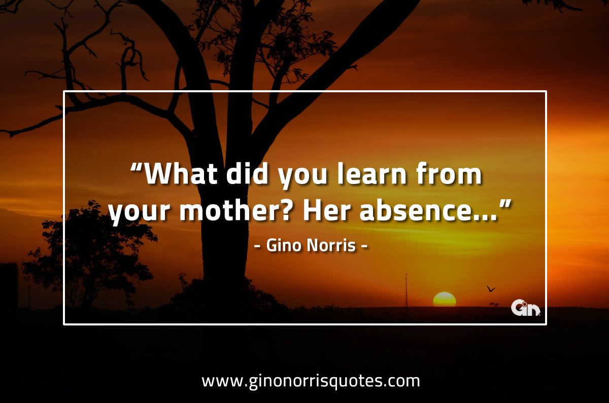 What did  you learn from your mother GinoNorrisQuotes