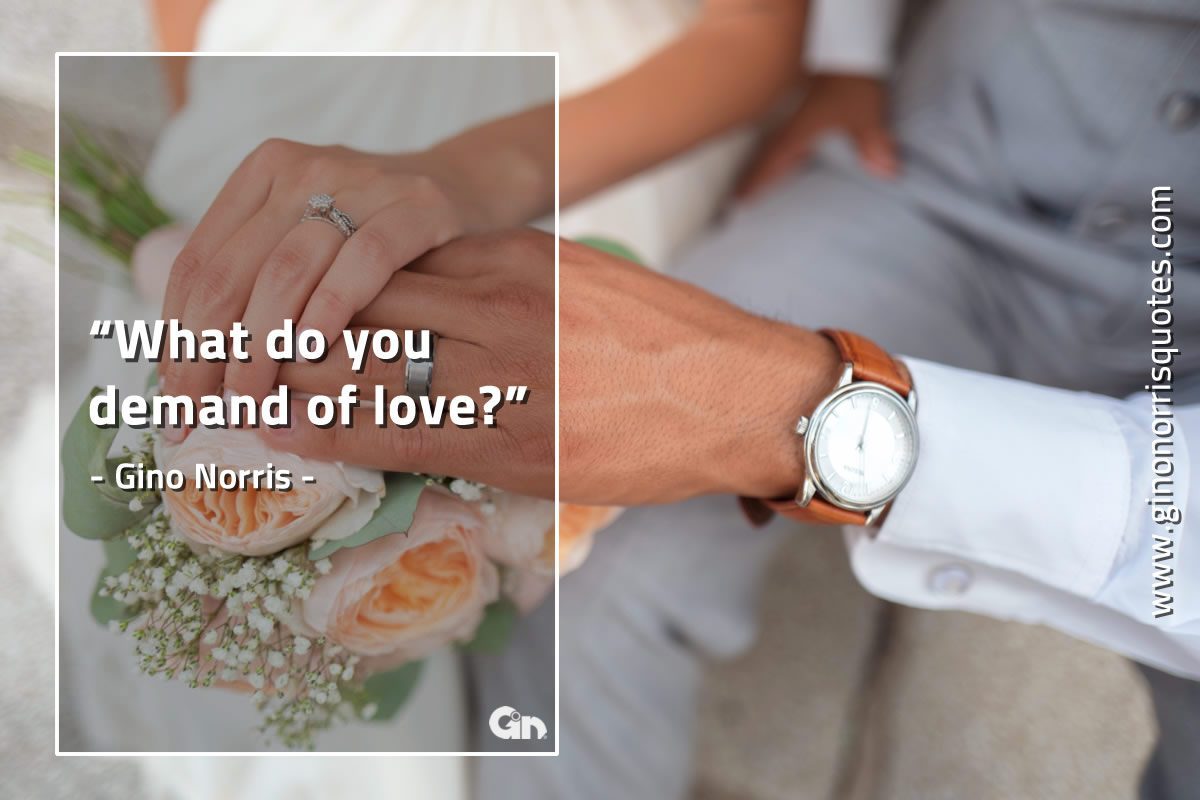 What do you demand of love GinoNorrisQuotes