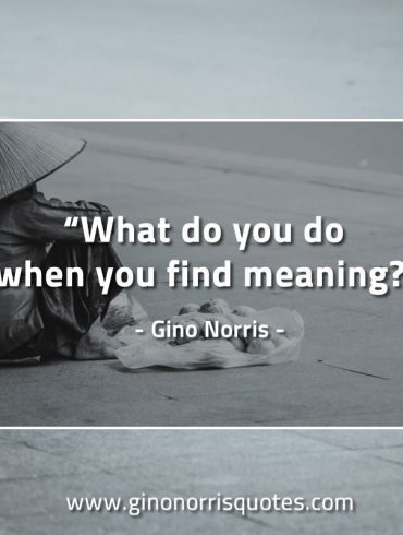 What do you do when you find meaning GinoNorrisQuotes