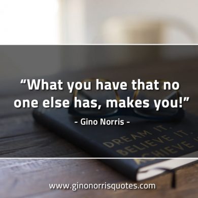 What you have that no one else has GinoNorrisQuotes