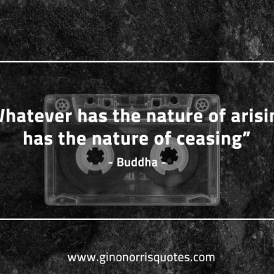 Whateve has the nature of arising BuddhaQuotes