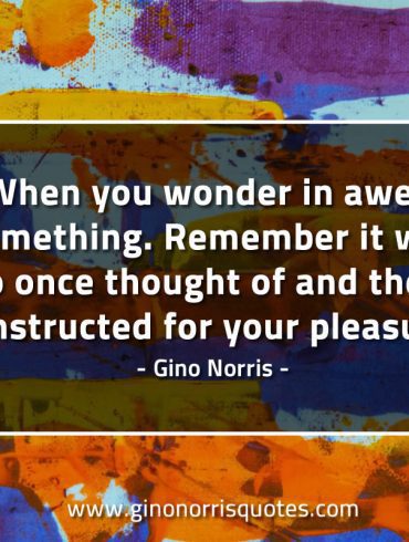 When  you wonder in awe at something GinoNorrisQuotes