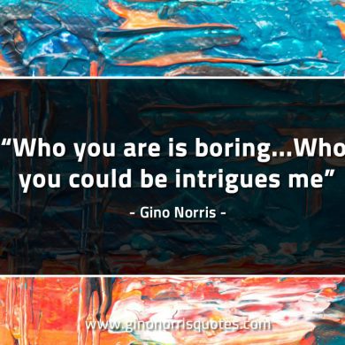 Who you are is boring GinoNorrisQuotes