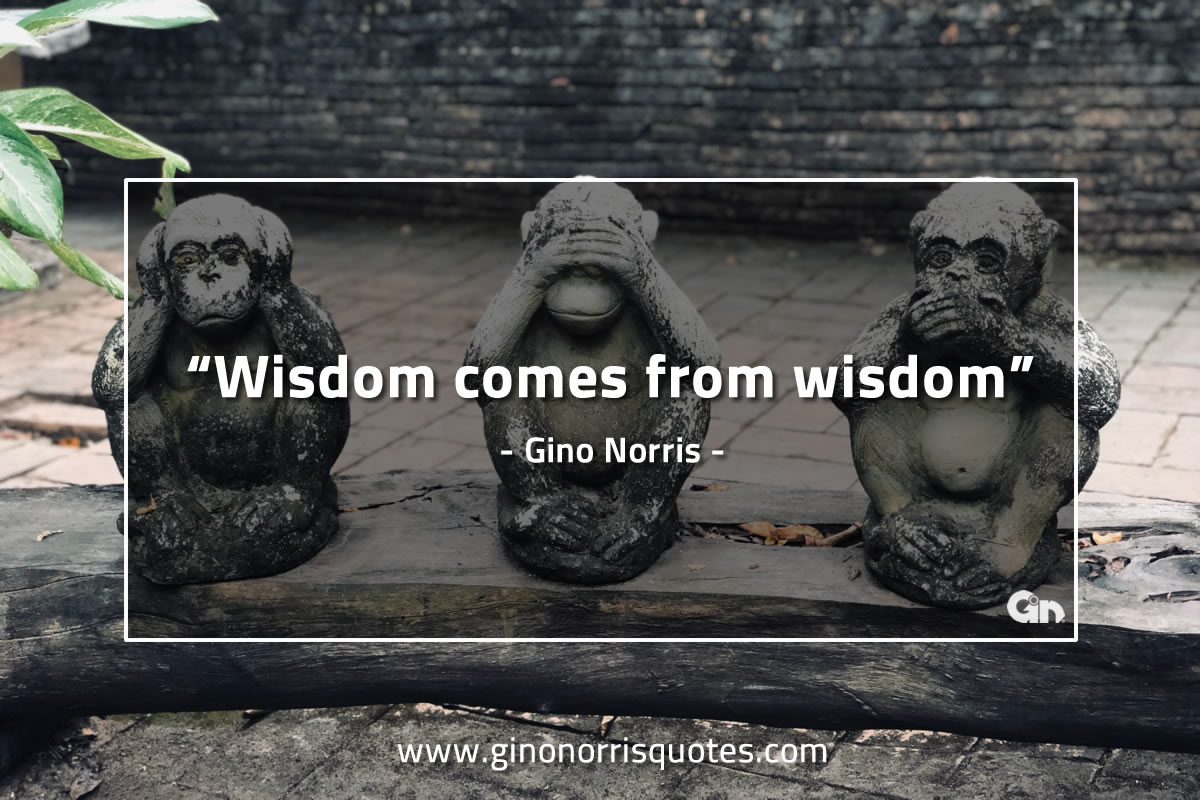 Wisdom comes from wisdom GinoNorrisQuotes