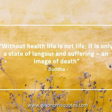 Without health life is not life BuddhaQuotes