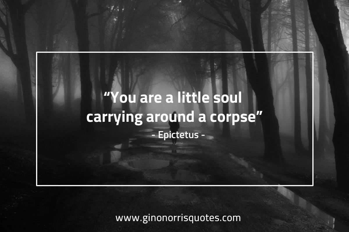 You are a little soul EpictetusQuotes