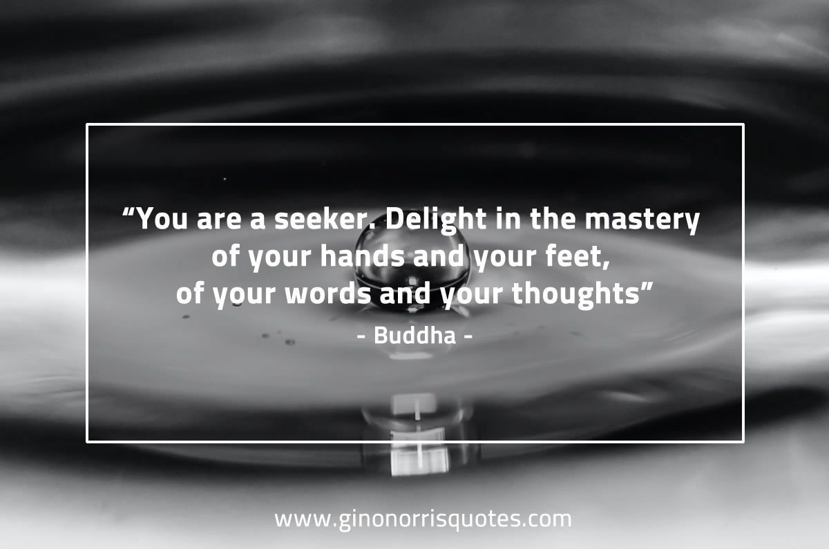 You are a seeker BuddhaQuotes
