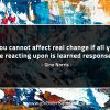You cannot affect real change GinoNorrisQuotes