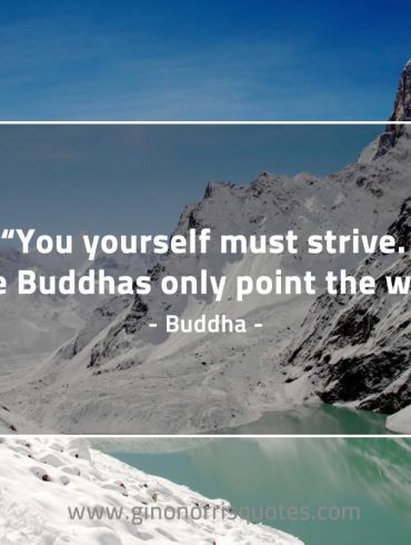 You yourself must strive BuddhaQuotes