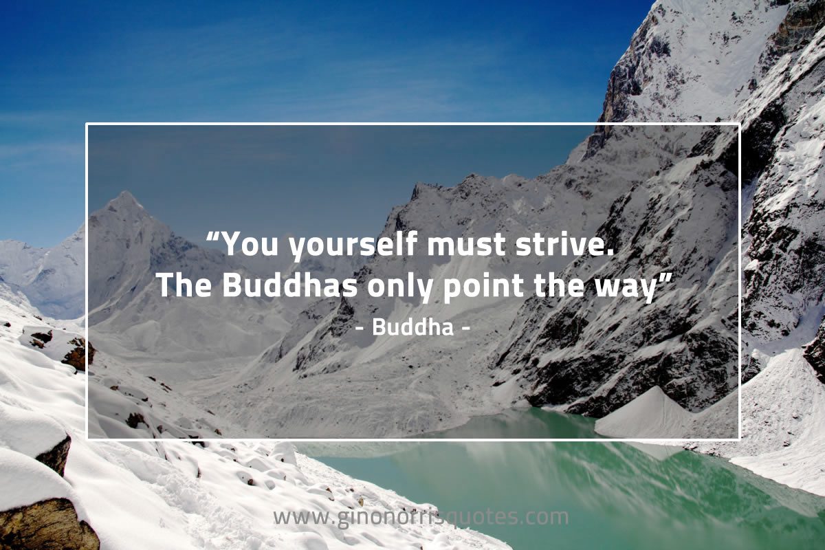 You yourself must strive BuddhaQuotes