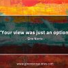 Your view was just an option GinoNorrisQuotes