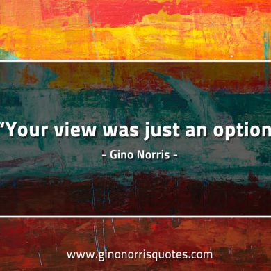 Your view was just an option GinoNorrisQuotes