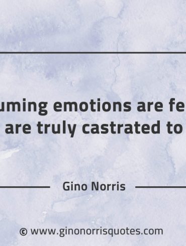 Assuming emotions are female GinoNorrisQuotes