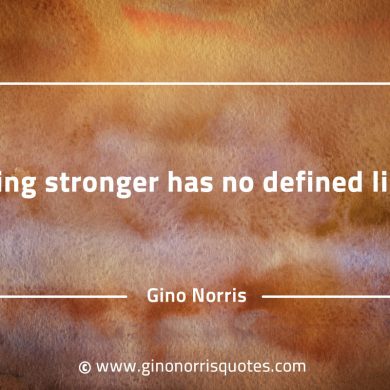 Being stronger has no defined limit GinoNorrisQuotes