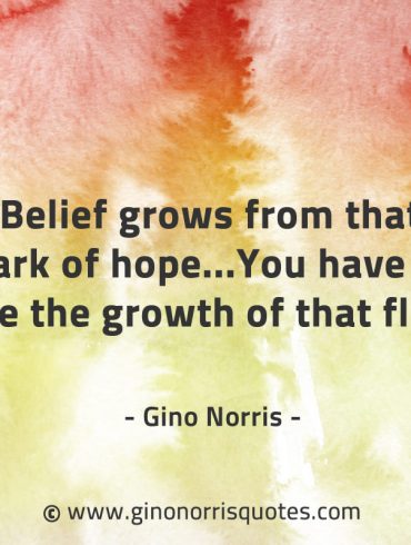 Belief grows from that spark of hope GinoNorrisQuotes