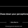 Chase down your perceptions GinoNorrisINTJQuotes