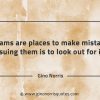 Dreams are places to make mistakes GinoNorrisQuotes