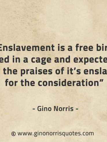 Enslavement is a free bird locked in a cage GinoNorrisQuotes