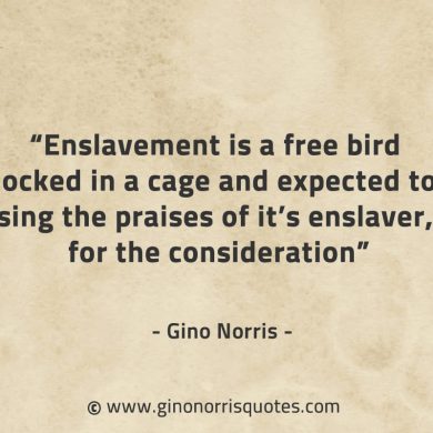 Enslavement is a free bird locked in a cage GinoNorrisQuotes