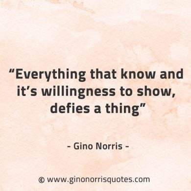 Everything that know GinoNorrisQuotes